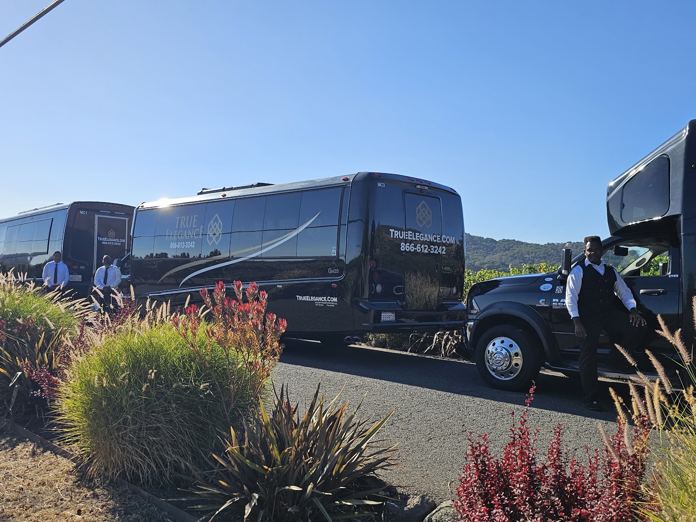 Multiple Bobby's Charters motorcoaches staged together